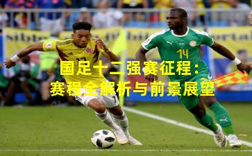国足十二强赛征程：赛程全解析与前景展望
