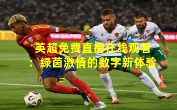 英超免费直播在线观看：绿茵激情的数字新体验